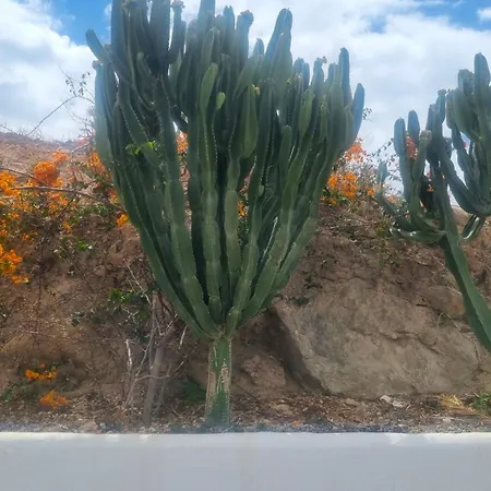 Tranquil Hillside With Oceanview And Pool アパート *